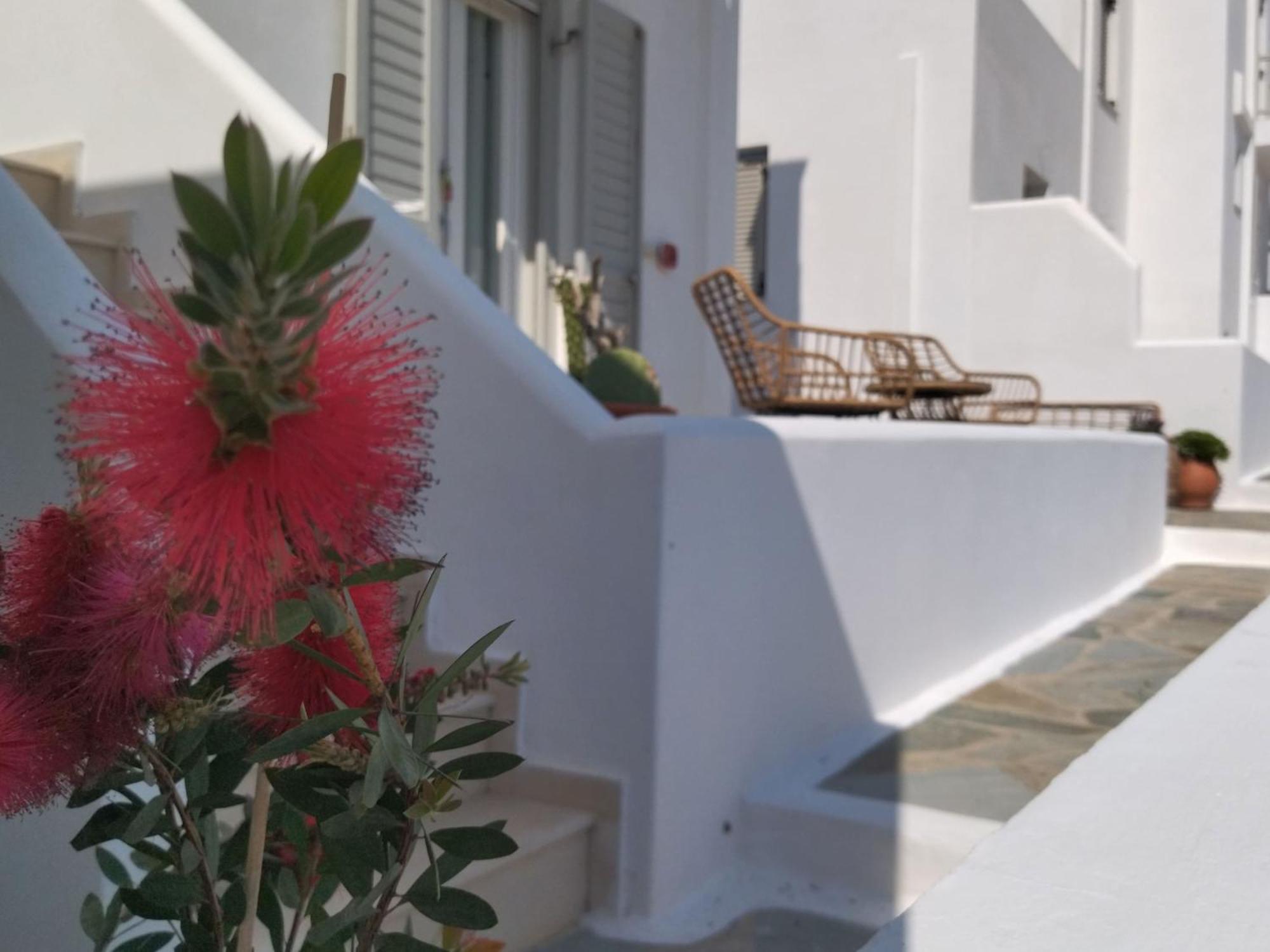Gaia Serifos Apartments Rámos Rom bilde